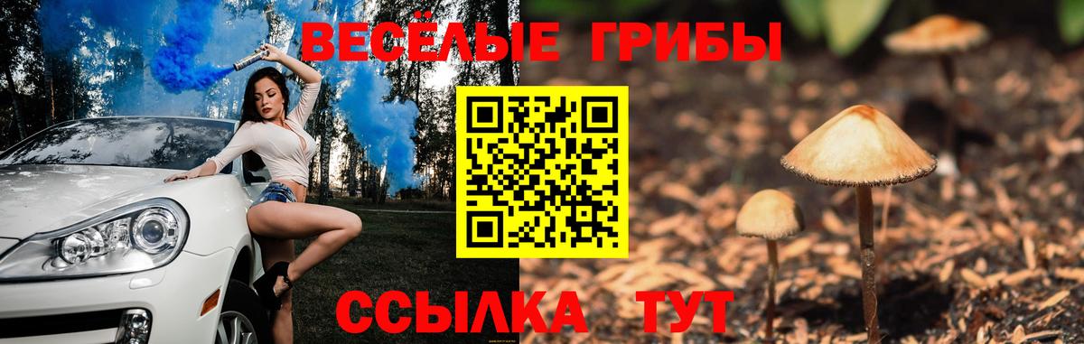Галлюциногенные грибы Cubensis Усть-Джегута