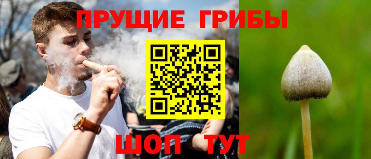 Псилоцибиновые грибы Magic Shrooms  продажа наркотиков  Галлюциногенные грибы ЛСД  Усть-Джегута  Вход с VPN 