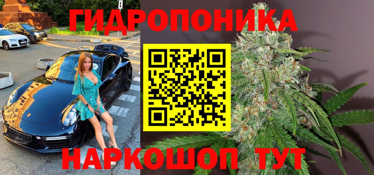 Марихуана индика Усть-Джегута